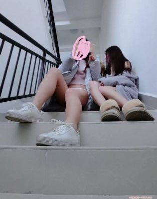 一条狗的使命2_1080在线播放观看